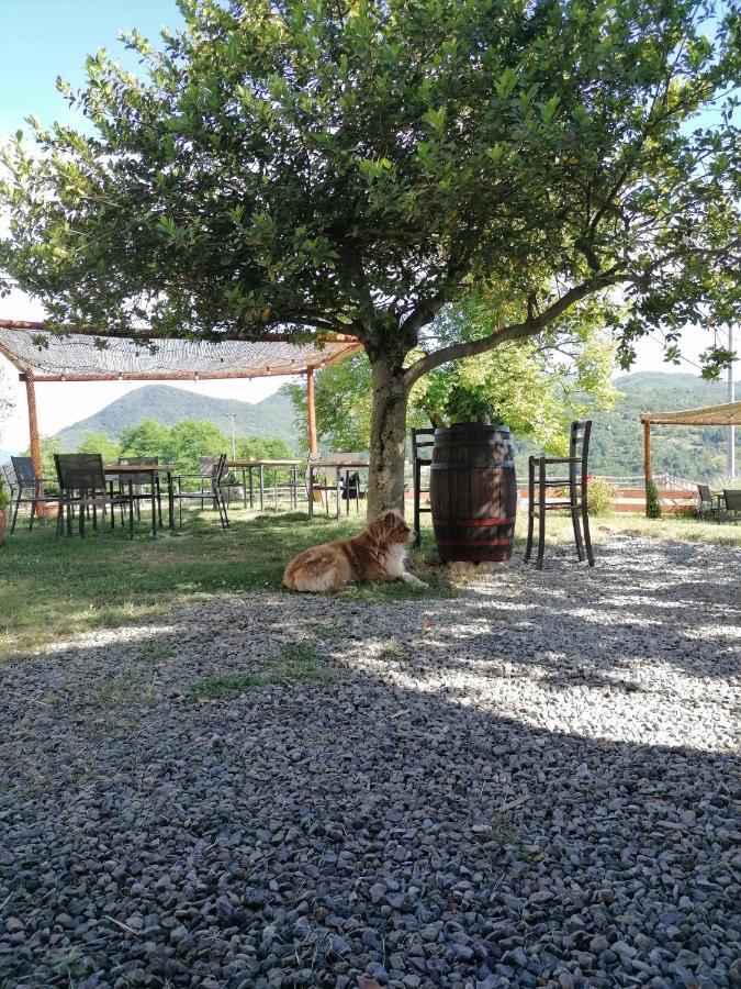 Agriturismo Dei Legi San Pietro Vara ภายนอก รูปภาพ
