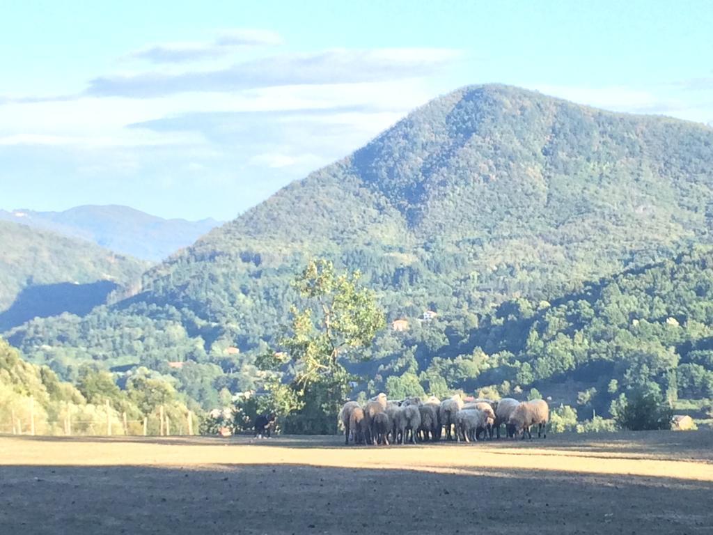 Agriturismo Dei Legi Villa San Pietro Vara ภายนอก รูปภาพ