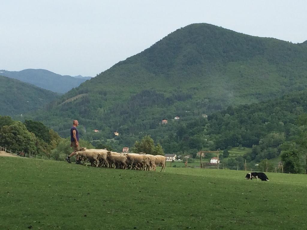 Agriturismo Dei Legi Villa San Pietro Vara ภายนอก รูปภาพ