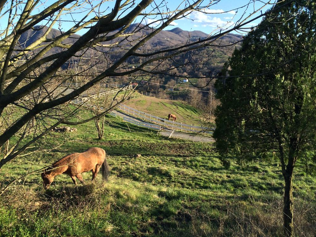 Agriturismo Dei Legi Villa San Pietro Vara ภายนอก รูปภาพ