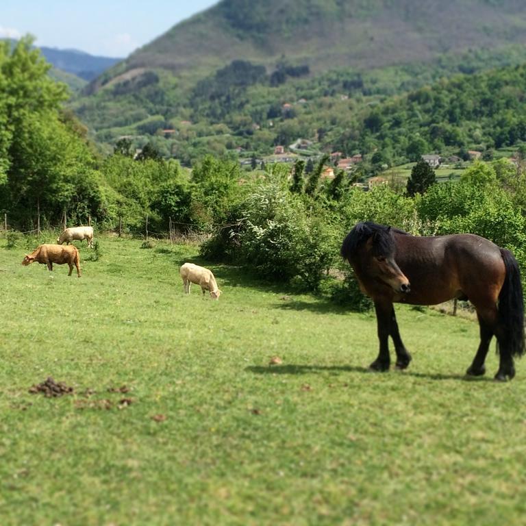 Agriturismo Dei Legi Villa San Pietro Vara ภายนอก รูปภาพ