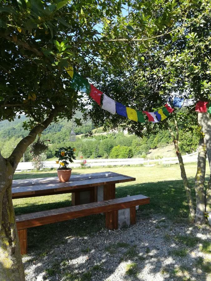 Agriturismo Dei Legi San Pietro Vara ภายนอก รูปภาพ