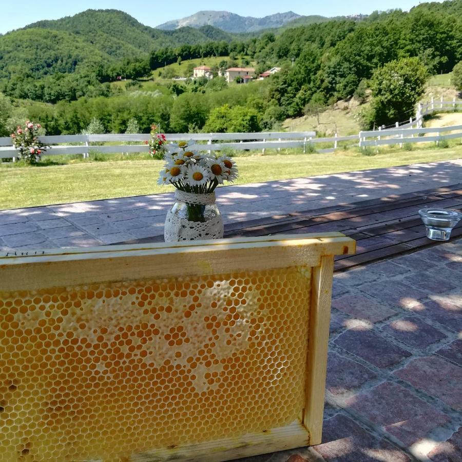 Agriturismo Dei Legi San Pietro Vara ภายนอก รูปภาพ