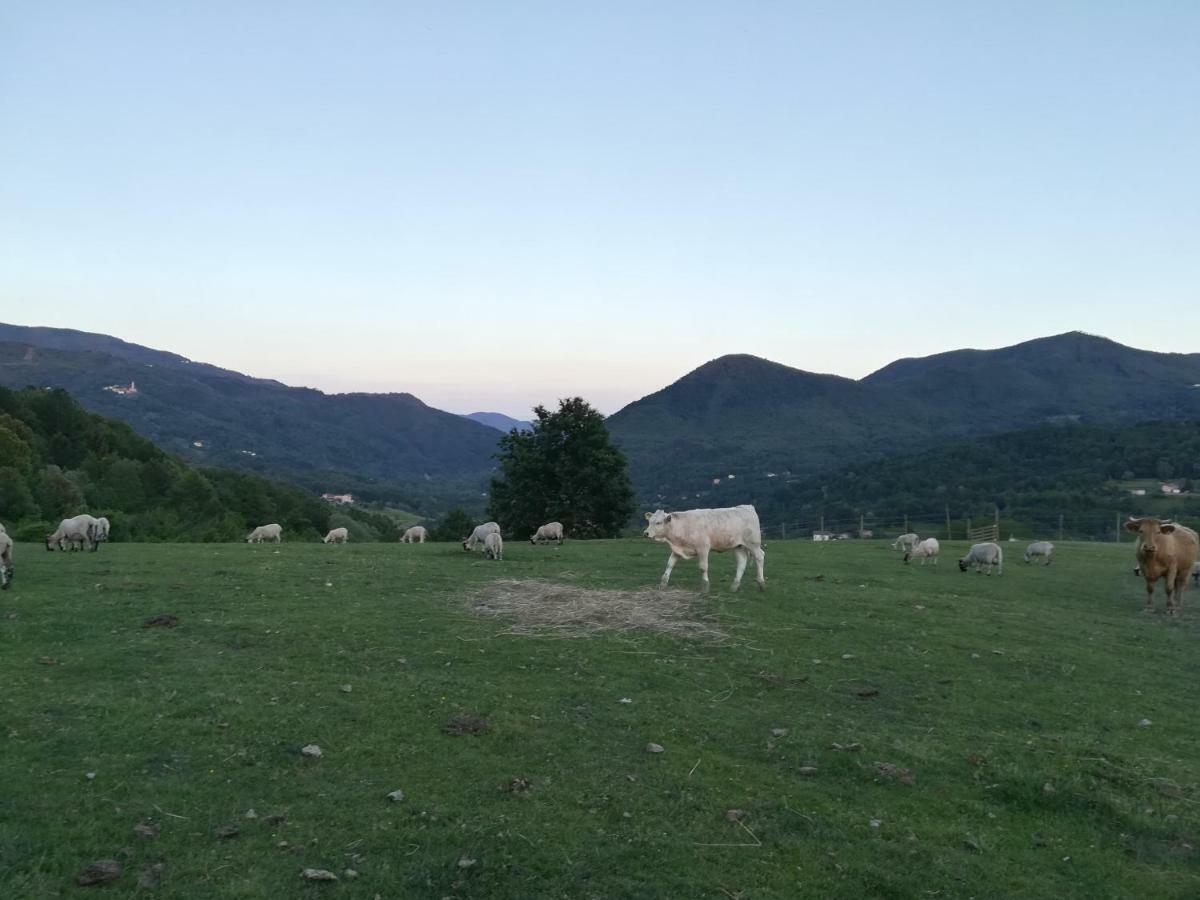 Agriturismo Dei Legi Villa San Pietro Vara ภายนอก รูปภาพ