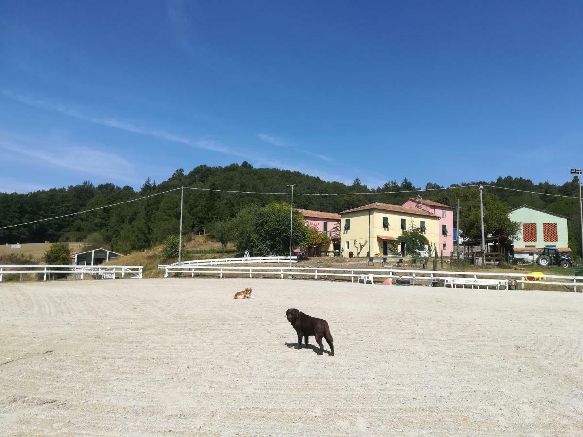 Agriturismo Dei Legi San Pietro Vara ภายนอก รูปภาพ