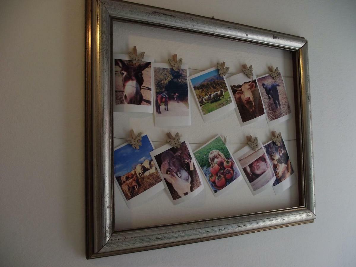 Agriturismo Dei Legi San Pietro Vara ภายนอก รูปภาพ